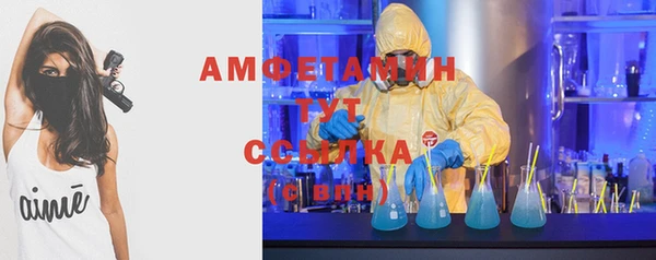 ECSTASY Богородицк