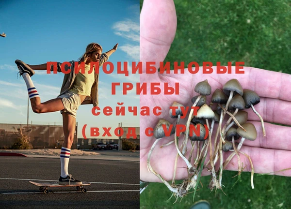ECSTASY Богородицк