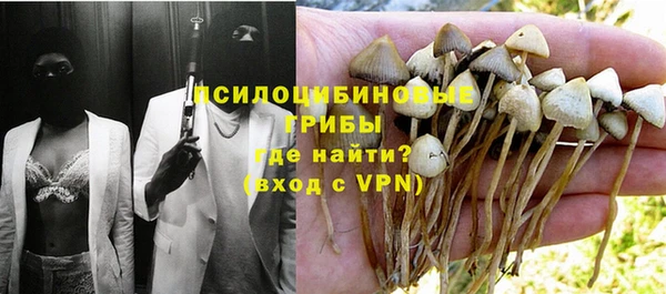 ECSTASY Богородицк