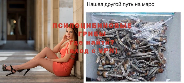 ECSTASY Богородицк