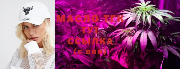 ECSTASY Богородицк