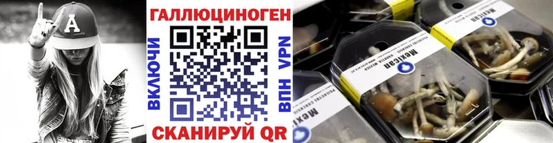 купить Щучье Галлюциногенные грибы мицелий